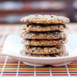 chocolate chip cookie