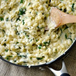 Stove top spinach mac n cheese
