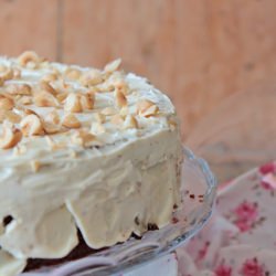 Raspberry hazelnut cake