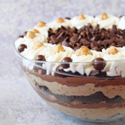 Chocolate-Hazelnut Mousse Trifle
