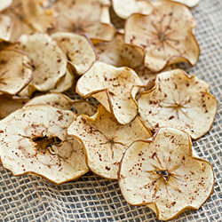 Super Easy Apple Chips