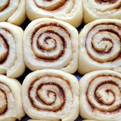 Soft and gooey cinnamon rolls