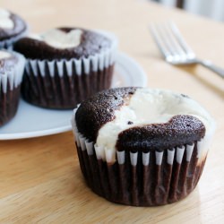 chocolate cream cheese cupcakes