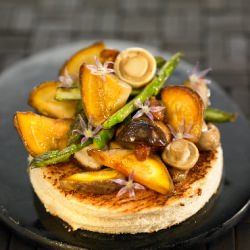 Sauteed mushrooms and vegetables