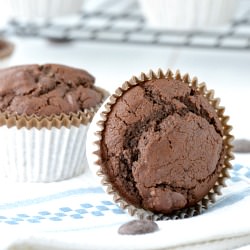 Double Chocolate Chip Muffins