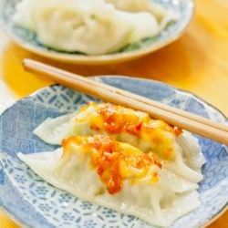 Japanese Dumplings