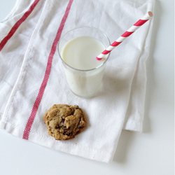 Aunt Robin’s Chocolate Chip Cookies