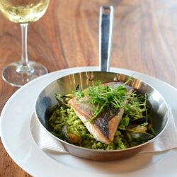 Red Drum & Green Risotto