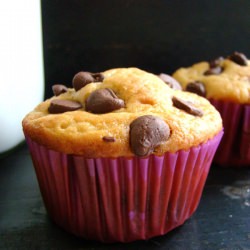 Nutty Chocolate Chip Muffins