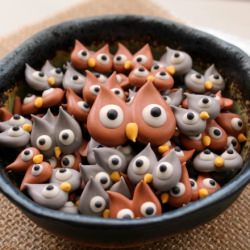 Royal Icing Owls