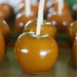 Homemade Caramel Apples