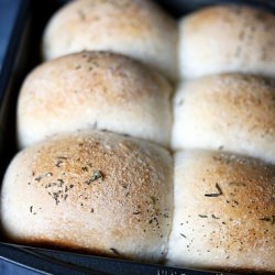 Quick and Easy Dinner Rolls
