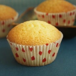 Yellow Cupcakes