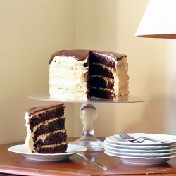 Chocolate Peanut Butter Cake