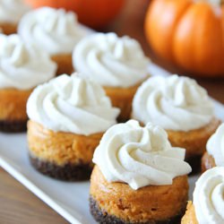 Mini Pumpkin Cheesecakes