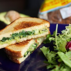 Avocado Pesto Grilled Cheese