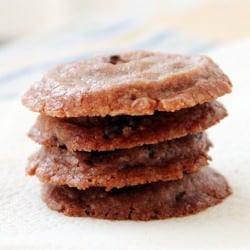 Double Chocolate Shortbread Cookies