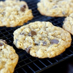 Oatmeal Chocolate Chip Cookie