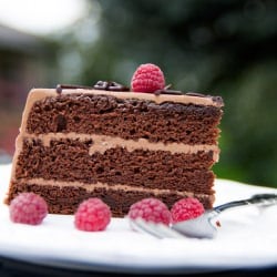 Chocolate Cake Recipe (Prague Cake)