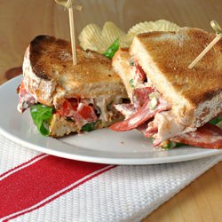 Lobster BLT with Basil Aioli