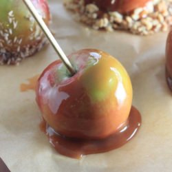 Caramel Apples
