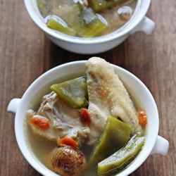 Cactus Chicken Soup