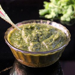 Mint and Cilantro Dip