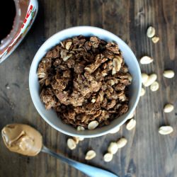 Peanut Butter Nutella Granola