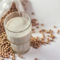 Homemade Soy Milk