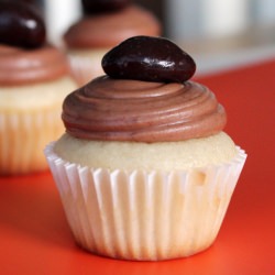 Eggless Vanilla Cupcakes
