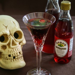 Dracula’s Kiss