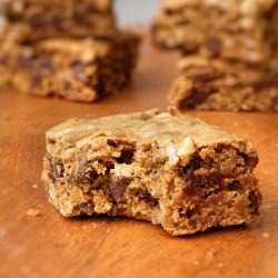 Chocolate Chip Coconut Blondies