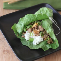 Lettuce Wraps with Pork and Apple