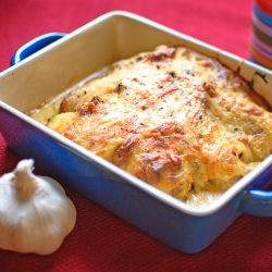 Endive and Ham ‘au Gratin’
