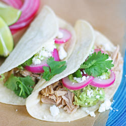 Shredded Pork Tacos