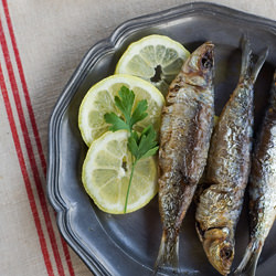 Fried Sardines