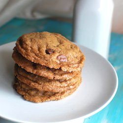 Chocolate Chip Biscoff Cookies