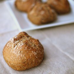 No-Knead Whole Wheat Pretzel Rolls