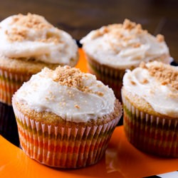 Pumpkin Cupcakes Biscoff Frosting