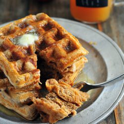 Apple Cider Waffle