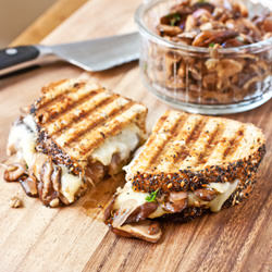 Wild Mushroom Melt Panini