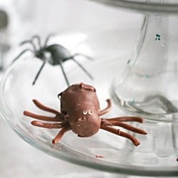 Edible Tarantula Truffles