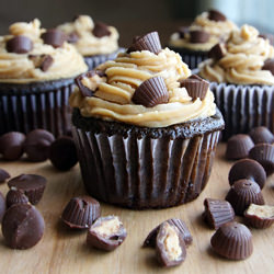 Peanut Butter Cup Cupcakes