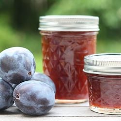 Damson Plum Jam