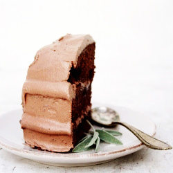Chocolate Layer Cake