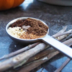 Pumpkin Pie Spice Blend
