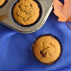 Pumpkin Chocolate Chip Muffins
