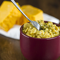 Creamy Macaroni and Cheese