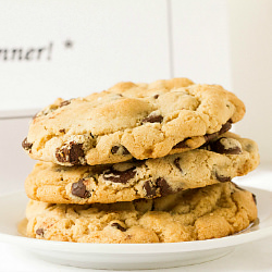 Chocolate Chip Cookie