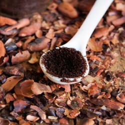 Cacao Powder